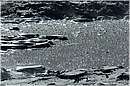 solfatara_0512.jpg