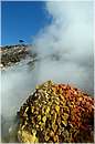 solfatara_0597.jpg