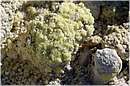 solfatara_0627.jpg