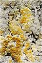 solfatara_0630.jpg