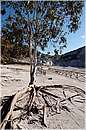 solfatara_0650.jpg