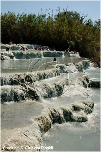 saturnia_0889.jpg