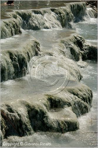 saturnia_0890.jpg