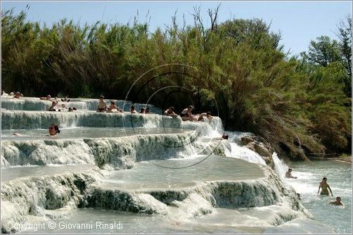 saturnia_0891.jpg