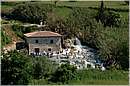 saturnia_0862.jpg