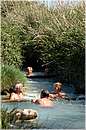 saturnia_0875.jpg