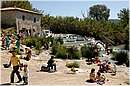 saturnia_0907.jpg