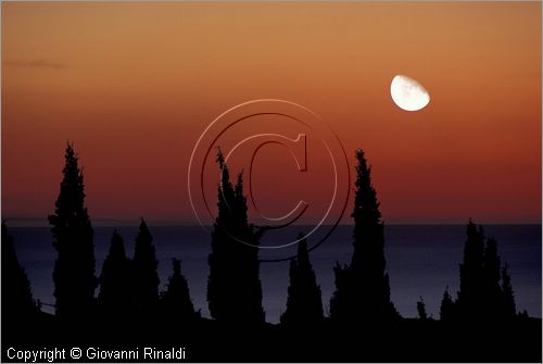 ITALY - TUSCANY - TOSCANA - (Bolgheri) (LI) - tramonto