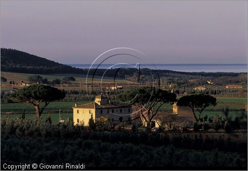 ITALY - TUSCANY - TOSCANA - (Castagneto Carducci) (LI) - paesaggio