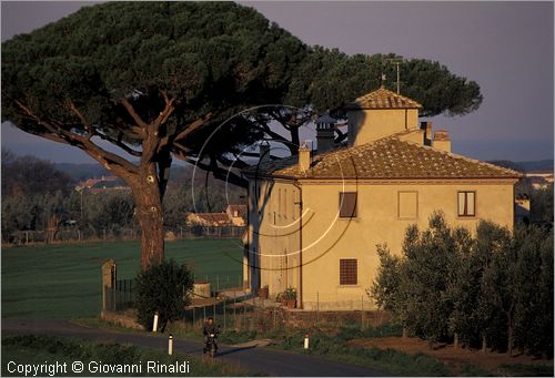 ITALY - TUSCANY - TOSCANA - (Castagneto Carducci) (LI) - paesaggio