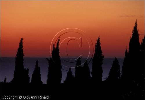 ITALY - TUSCANY - TOSCANA - (Castagneto Carducci) (LI) - tramonto