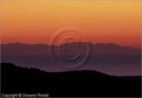 ITALY - TUSCANY - TOSCANA - (Castagneto Carducci) (LI) - tramonto