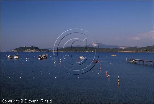 ITALY - TUSCANY - TOSCANA - GOLFO DI BARATTI (LI)