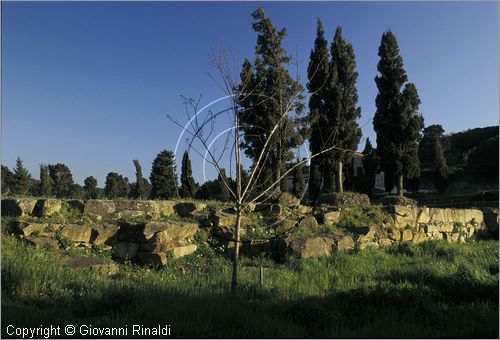 ITALY - TUSCANY - TOSCANA - POPULONIA (LI) - acropoli