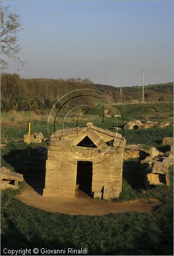 ITALY - TUSCANY - TOSCANA - POPULONIA (LI) - necropoli di San Cerbone