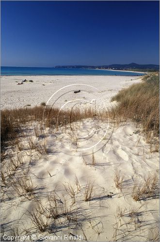 ITALY - TUSCANY - TOSCANA - ROSIGNANO SOLVAY - VADA (LI) - la spiaggia