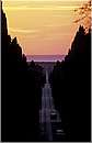 bolgheri_0006.jpg