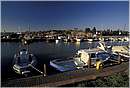 scarlino_puntone_0002.jpg