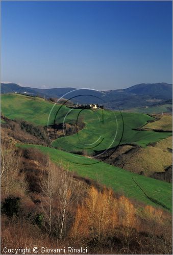 ITALY - TUSCANY - TOSCANA - Guardistallo (PI) - paesaggio nella campagna circostante