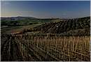 castellinamarittima_0002.jpg