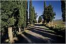 montegemoli_0001.jpg