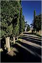 montegemoli_0002.jpg