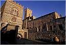 querceto_0003.jpg