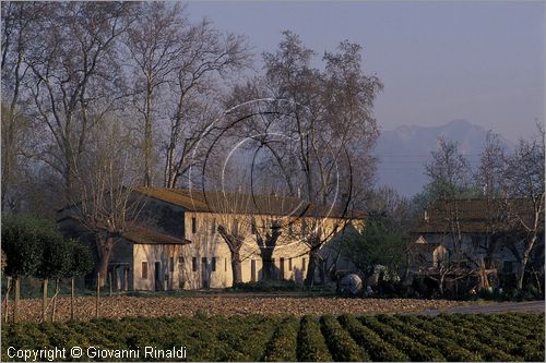 ITALY - TUSCANY - TOSCANA - (Pisa) (PI) - TENUTA DI SAN ROSSORE - Parco Migliarino San Rossore Massaciucoli