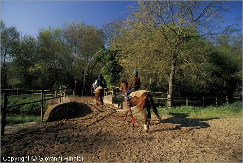 ITALY - TUSCANY - TOSCANA - (Pisa) (PI) - TENUTA DI SAN ROSSORE - Parco Migliarino San Rossore Massaciucoli - zone umide dette "lame"