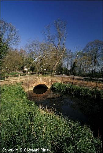 ITALY - TUSCANY - TOSCANA - (Pisa) (PI) - TENUTA DI SAN ROSSORE - Parco Migliarino San Rossore Massaciucoli - zone umide dette "lame"