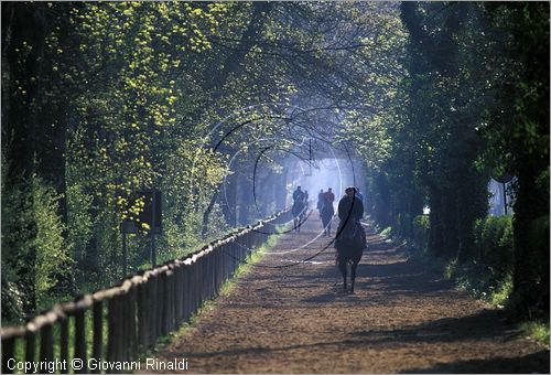 ITALY - TUSCANY - TOSCANA - (Pisa) (PI) - TENUTA DI SAN ROSSORE - Parco Migliarino San Rossore Massaciucoli