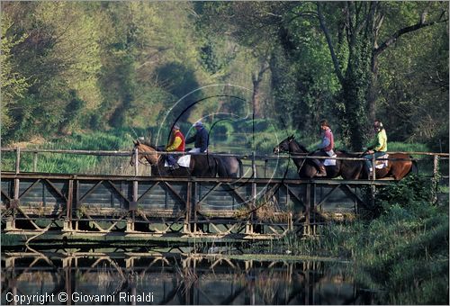 ITALY - TUSCANY - TOSCANA - (Pisa) (PI) - TENUTA DI SAN ROSSORE - Parco Migliarino San Rossore Massaciucoli - zone umide dette "lame"