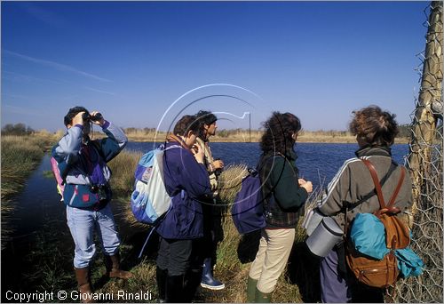 ITALY - TUSCANY - TOSCANA - (Pisa) (PI) - TENUTA DI SAN ROSSORE - Parco Migliarino San Rossore Massaciucoli - zone umide dette "lame"