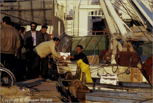 ITALY - TUSCANY - TOSCANA - VIAREGGIO (LU) - il porto peschereccio