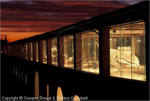 ITALY - CALCI (PI) - Museo di Storia Naturale e del Territorio nella Certosa di Calci - Galleria dei cetacei