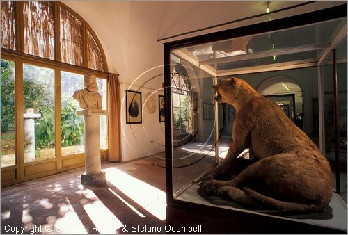 ITALY - CALCI (PI) - Museo di Storia Naturale e del Territorio nella Certosa di Calci - Galleria storica