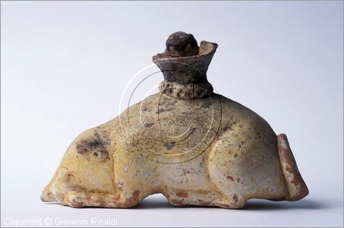 ITALY - COSENZA
Museo Civico Archeologico
vasetto a forma di topo in terracotta proveniente dalla necropoli Cozzo Michelicchio (VIII secolo a.C.)