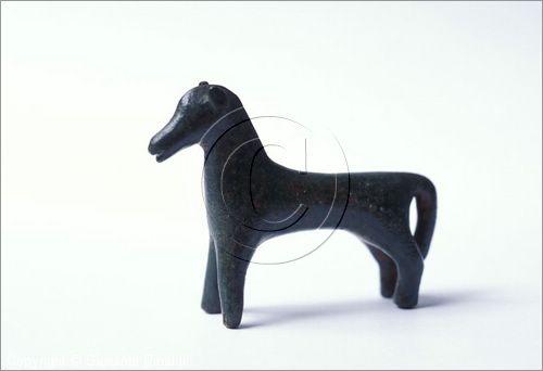 ITALY - COSENZA
Museo Civico Archeologico
cavallino in bronzo proveniente dalla necropoli Cozzo Michelicchio (VIII secolo a.C.)