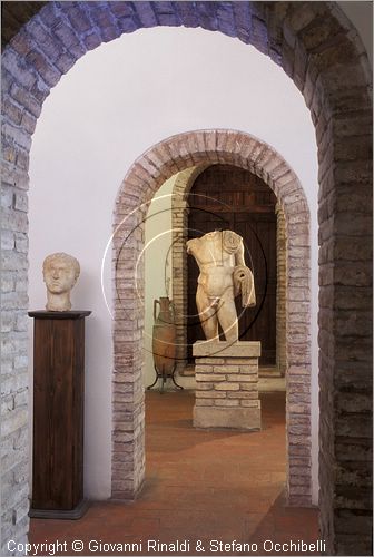 ITALY - FANO (PS) - Museo Civico e Pinacoteca nel Palazzo Malatestiano - sezione archeologica:
tronco di atleta dalla perfetta anatomia copia da originale greco