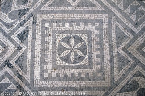 ITALY - FANO (PS) - Museo Civico e Pinacoteca nel Palazzo Malatestiano - sottoportico - mosaico della pantera del II secolo d.C. - particolare