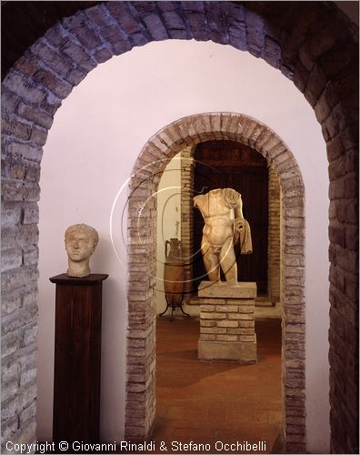 ITALY - FANO (PS) - Museo Civico e Pinacoteca nel Palazzo Malatestiano - sezione archeologica:
tronco di atleta dalla perfetta anatomia copia da originale greco
