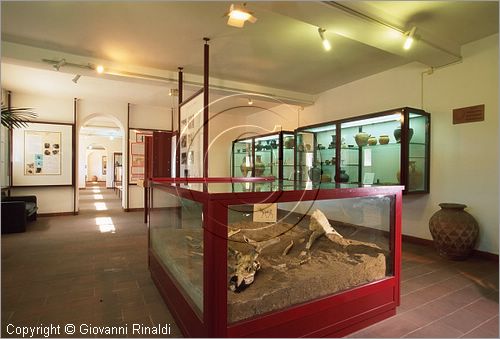 ITALY - ISCHIA DI CASTRO (VT) - Museo Comunale Pietro e Turiddo Lotti - veduta di una sala del museo