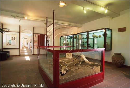 ITALY - ISCHIA DI CASTRO (VT) - Museo Comunale Pietro e Turiddo Lotti - veduta di una sala del museo