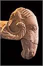 ischiadicastro016.jpg