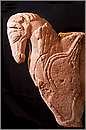ischiadicastro018.jpg