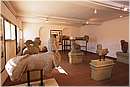 ischiadicastro042.jpg