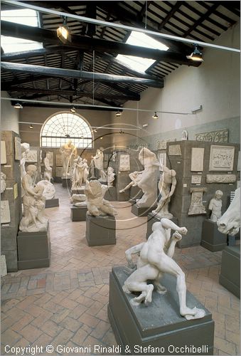 ITALY - PERUGIA - Museo dell'Accademia - Gipsoteca - in primo piano copia in gesso da originale di lottatori (III secolo a.C.)
