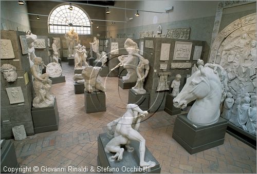 ITALY - PERUGIA - Museo dell'Accademia - Gipsoteca - in primo piano copia in gesso da originale di lottatori (III secolo a.C.)