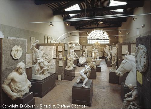 ITALY - PERUGIA - Museo dell'Accademia - Gipsoteca - in primo piano copia in gesso da originale di lottatori (III secolo a.C.)