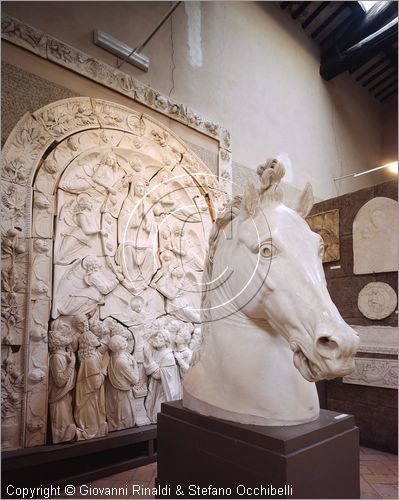 ITALY - PERUGIA - Museo dell'Accademia - Gipsoteca - copia in gesso di testa di cavallo tratta da originale in bronzo del monumento a Carlo III di Borbone del Canova (1807) - dietro calco da pala in terracotta dell'Annunciazione di Andrea della Robbia